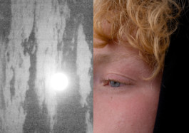 LAURE BRANDFORD GRIFFITH