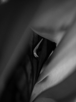 LAURE BRANDFORD GRIFFITH