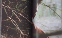 LAURE BRANDFORD GRIFFITH