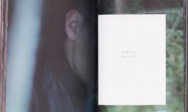 LAURE BRANDFORD GRIFFITH