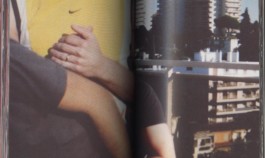 LAURE BRANDFORD GRIFFITH