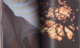 LAURE BRANDFORD GRIFFITH