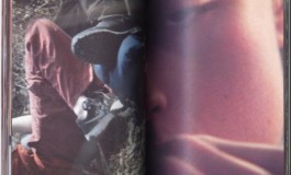 LAURE BRANDFORD GRIFFITH