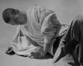 LAURE BRANDFORD GRIFFITH